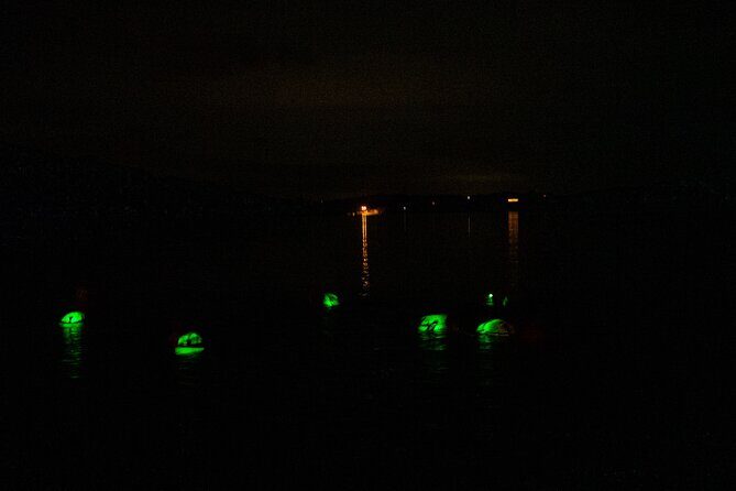 Bioluminescent Swim Experience in West Cork with Storytelling - A Glowing Night in West Cork: The Bioluminescent Swim Experience with Storytelling