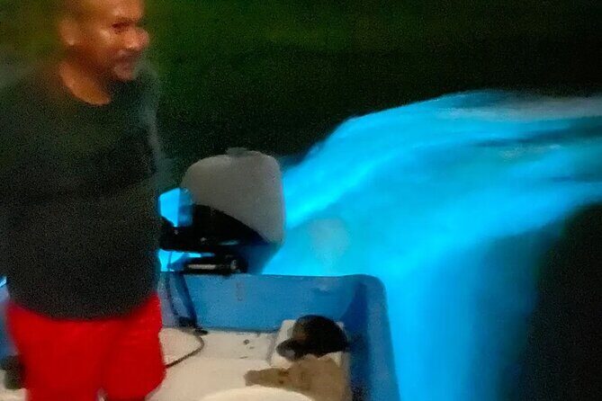 Bioluminiscense Lagoon Tour - Discover the Bioluminescence Lagoon Tour in Puerto Escondido