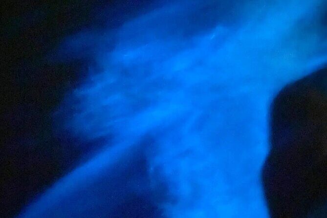 Bioluminiscense Lagoon Tour - A Closer Look at the Bioluminescent Lagoon Tour