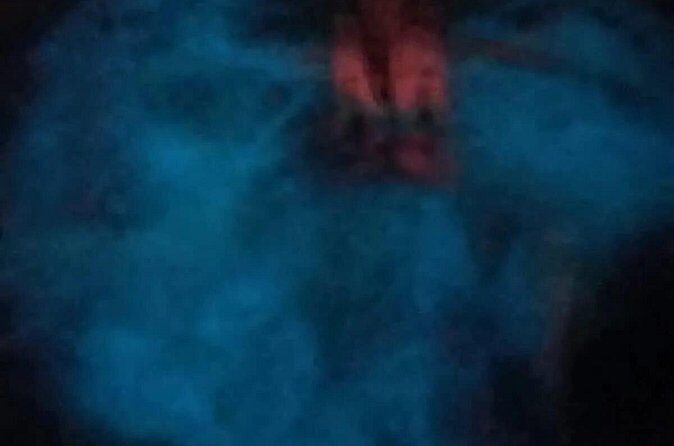 Bioluminiscense Lagoon Tour - Final Thoughts