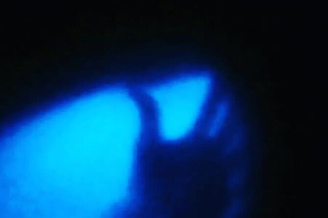 Bioluminiscense Lagoon Tour - FAQ