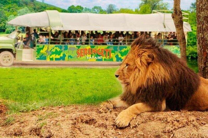 Bioparque Estrella Safari Experience Ticket - Exploring the Park: What to Expect at Bioparque Estrella