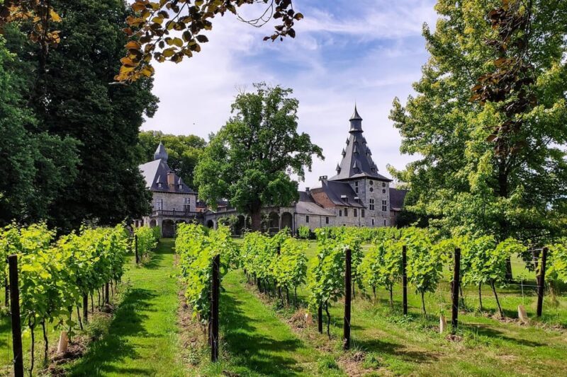 Bioul (near Dinant) : Château de Bioul Tour and Wine Tasting - Key Points