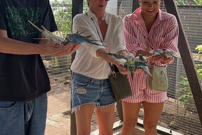 Bird & Animal Encounter in Montego Bay Feed,Hold & Snap Pics! - FAQ