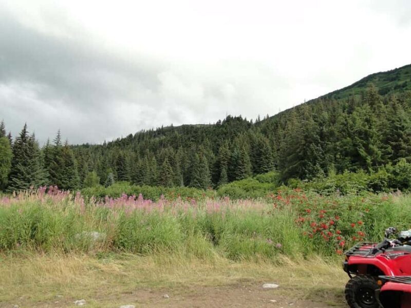 Bird Creek: Chugach State Park ATV Nature Tour & Hike - An In-Depth Look at the Experience