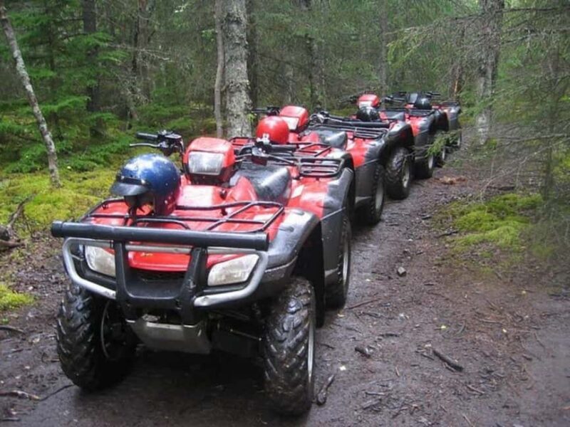 Bird Creek: Chugach State Park ATV Nature Tour & Hike - The Sum Up