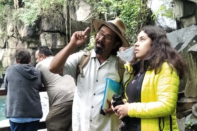 Bird Observation in the National Park of Uruapan. - Exploring Uruapan’s Birdwatching Experience
