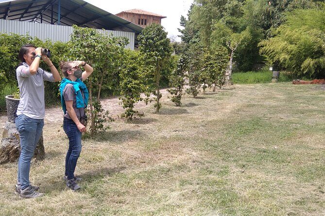Bird Observation in the National Park of Uruapan. - In-Depth Look at the Itinerary