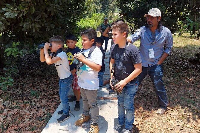 Bird Observation in the National Park of Uruapan. - FAQ
