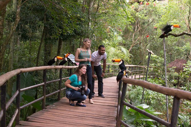 Bird Park & Iguassu Brazilian Side From Puerto Iguazú Hotels - Private Tour - Final Thoughts