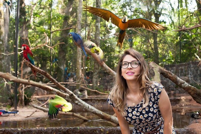 Bird Park & Iguassu Brazilian Side Gran Meliá Hotel Exclusive - Private Tour - Final Thoughts: Is This Tour Right for You?
