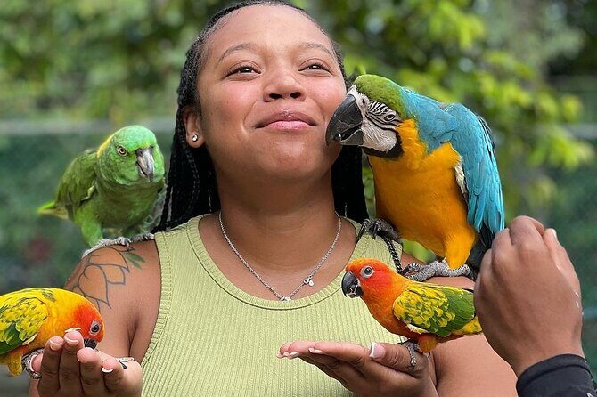 Bird Sanctuary and animal farm Day Tour - Practical Considerations: Is It Worth It?