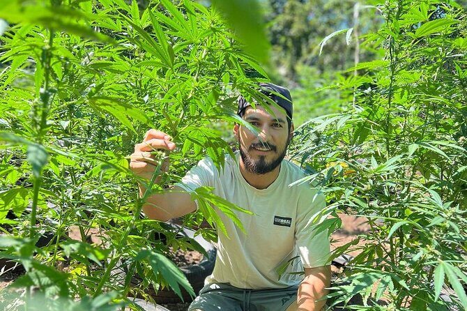 Bird Sanctuary and animal farm Day Tour - Who Should Book This Tour?