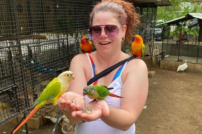 Bird Sanctuary and Montego Bay City Tour - Frequently Asked Questions