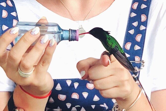 Bird Watcher's Paradise at Rockland Bird Sanctuary - Exploring the Rockland Bird Sanctuary in Detail