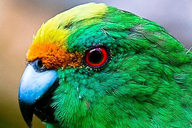 Bird Watching and Dolphin Eco-Tour from Picton - Frequently Asked Questions
