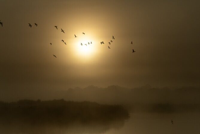 Bird watching and photography around Bathurst, Australia - Final Verdict