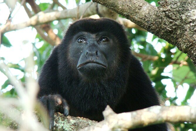 Bird-Watching and Wildlife Tour - Final Thoughts