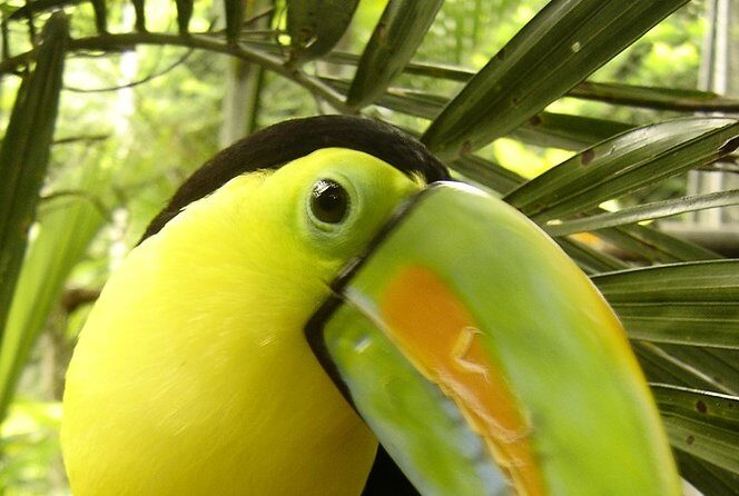 Bird-Watching and Wildlife Tour - FAQ