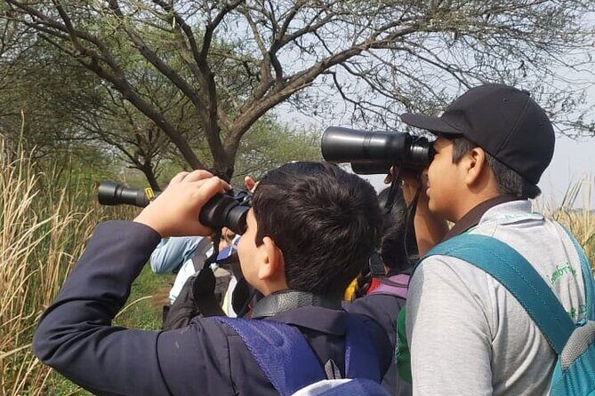 Bird Watching at Nandur Madhyameshwar Wildlife Sanctuary Nashik - Key Points
