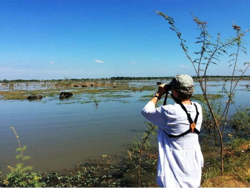 Bird Watching at Tonle Sap Forest and Lotus Farm Siem Reap - Bird Watching at Tonle Sap Forest and Lotus Farm Siem Reap