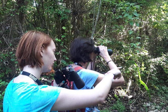Bird watching ecofriendly tour from Cancun & Riviera Maya - FAQs