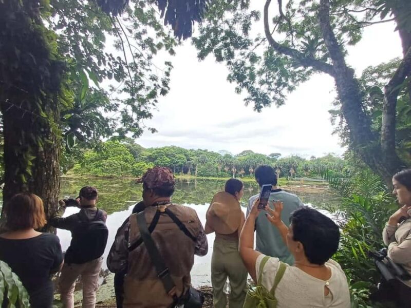 Bird Watching in Acacías Meta - What Makes This Tour Stand Out?