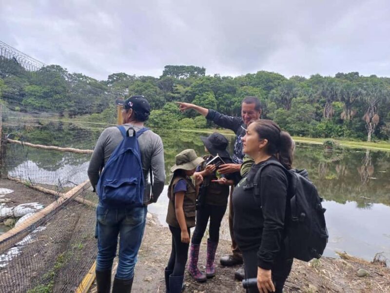 Bird Watching in Acacías Meta - The Experience and What Travelers Say