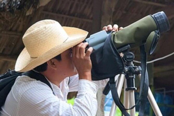 Bird watching in La Mancha - Bird Watching in La Mancha: A True Nature Escape in Veracruz