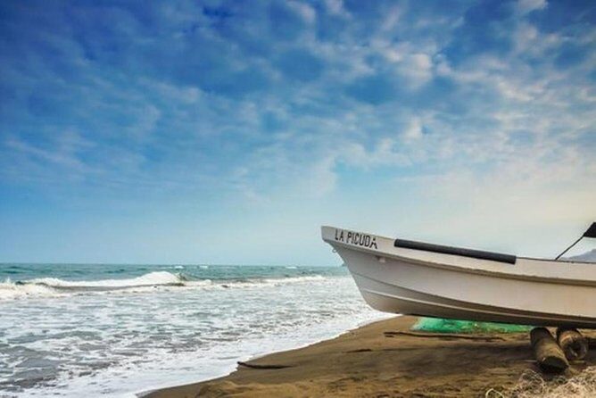 Bird watching in La Mancha - What to Expect on Your Bird Watching Adventure in La Mancha