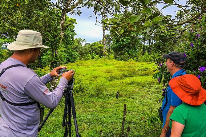 Bird Watching Near the Arenal Volcano - Who Would Love This Tour?