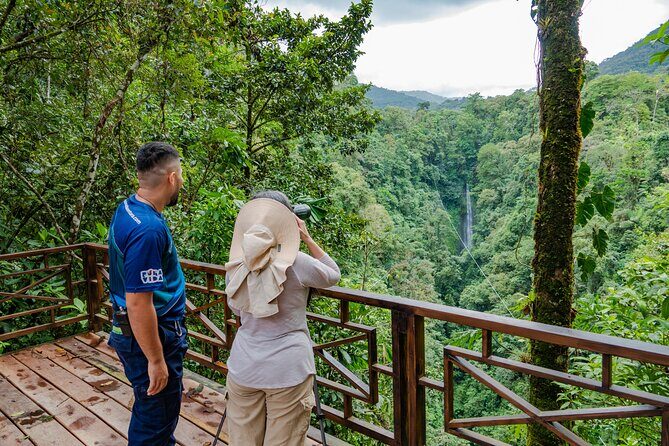 Bird Watching Tour Arenal Mundo Aventura - An In-Depth Look at the Bird Watching Experience in La Fortuna
