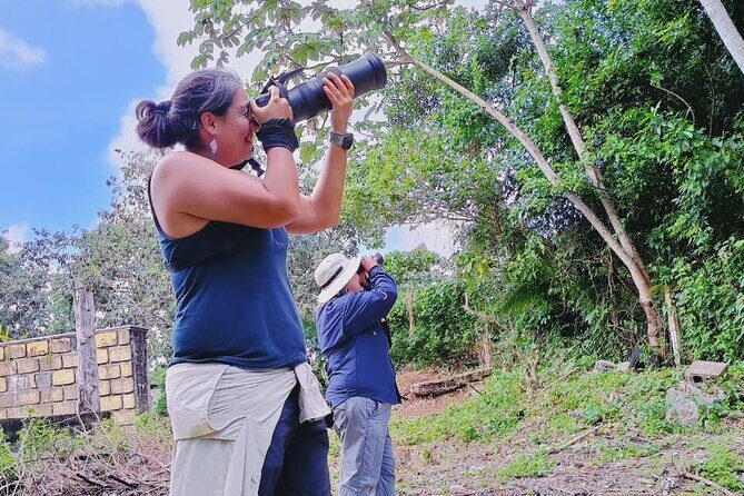 Bird Watching Tour in Cozumel - Why This Tour Offers Good Value