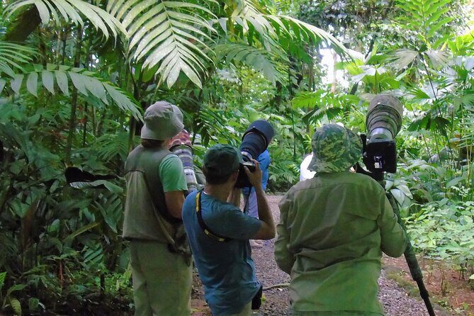 Bird watching Tour in La Fortuna - The Practical Side: Price, Duration, and Logistics