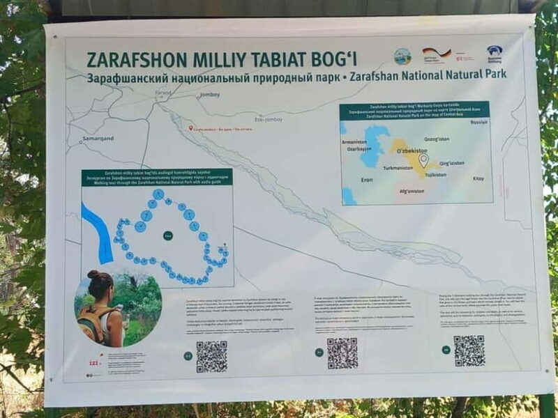 Bird Watching Tours in Samarkand - A Quick Look at the Experience