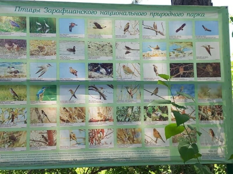 Bird Watching Tours in Samarkand - Key Points