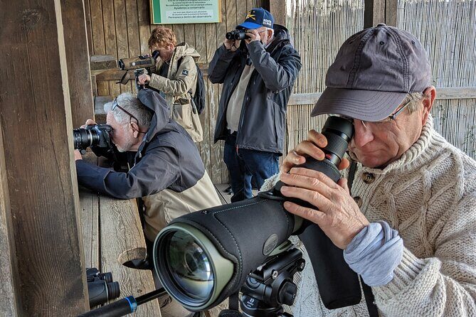 Birding Costa del Sol Day tour - Key Points