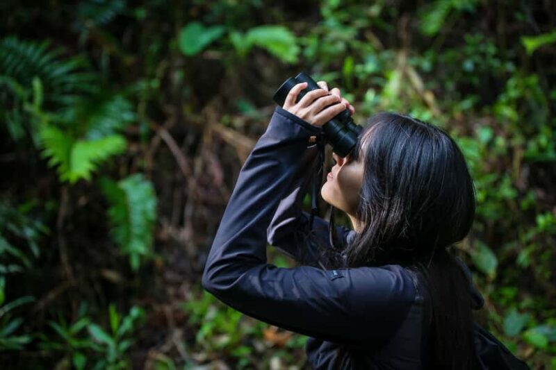 Birding Medellin with expert bird-watcher (Private) - Key Points