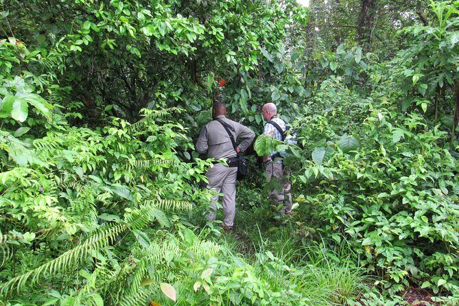 Birding Metropolitan Natural Park - Who Will Love This Tour?
