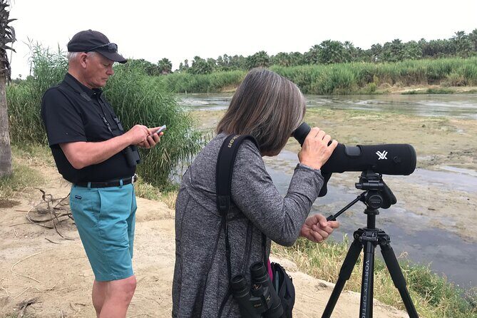 Birding San Jose Estuary Los Cabos Mexico - Birding San Jose Estuary Los Cabos Mexico: An In-Depth Review