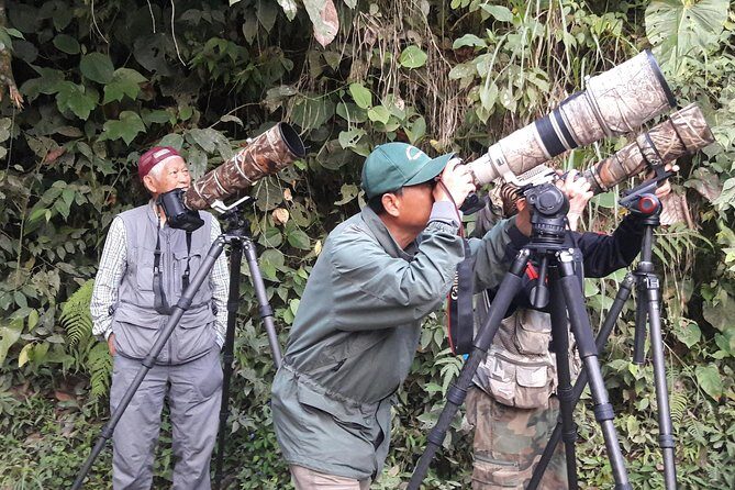 Birding Tour - Key Points
