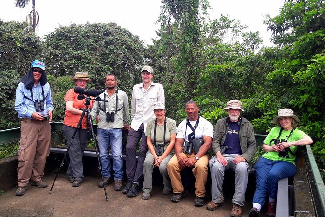 Birding Tour - A Deep Dive into the Mindo Birding Experience
