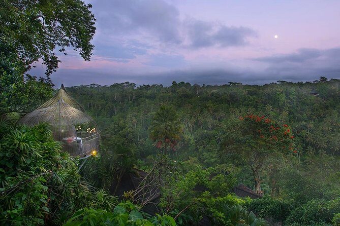 Birds Nest Romantic Dining in Ubud - Birds Nest Romantic Dining in Ubud: A Unique Experience for Couples