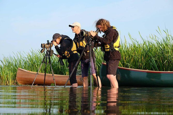BIRDWATCH - Premium guided canoe tour at Cape Vente, Nemunas Delta Regional Park - An Authentic Birdwatching Adventure on Lithuania’s Coastline