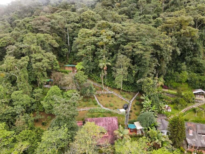 Birdwatching and Botany Tour at KM18 - The Sum Up: Why This Tour Is a Great Choice