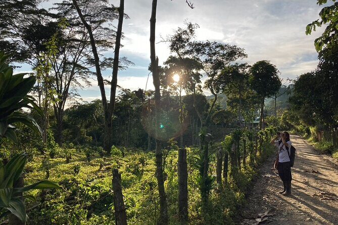 Birdwatching and Coffee Tour in Salento - Birdwatching and Coffee Tour in Salento: An Authentic Colombian Experience
