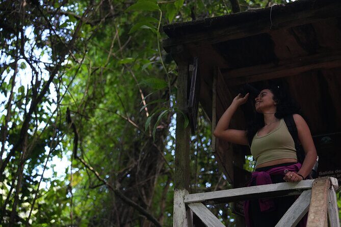 Birdwatching and Scenic Trail - Birdwatching and Scenic Trail: A Nature Lover’s Day in Antigua