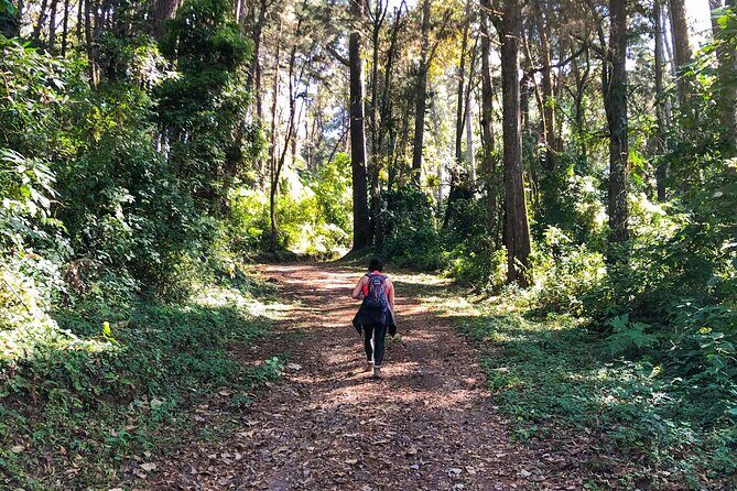 Birdwatching and Scenic Trail - Key Points