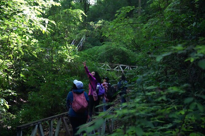 Birdwatching and Scenic Trail - Authentic Encounters and Real Traveler Insights