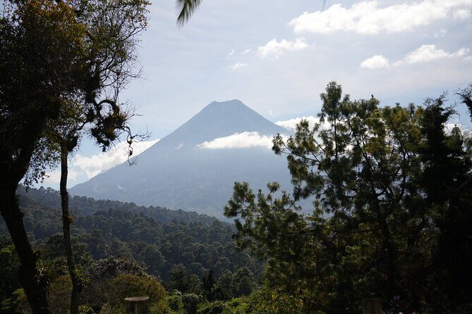 Birdwatching and Scenic Trail - Why This Tour Represents Good Value